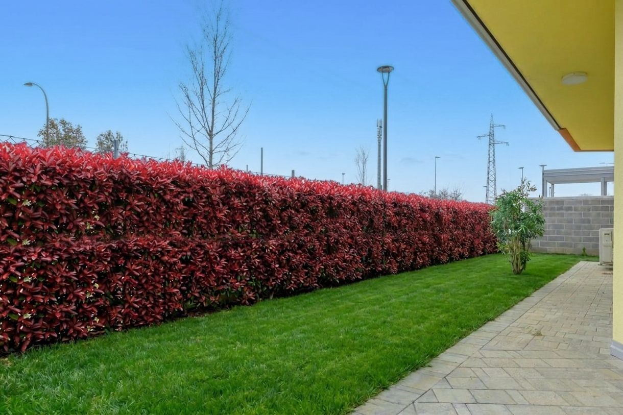 Two-Bedroom Apartment 2